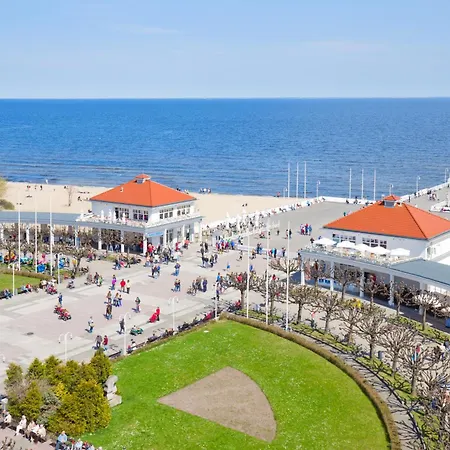 Platinum - Chmielewskiego